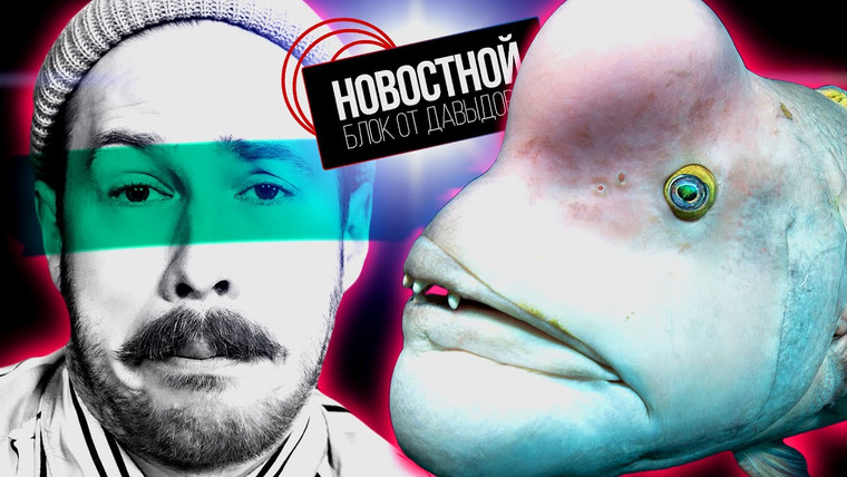 Новостной блок от Давыдова — s2022e22 — УРОДЛИВЫЕ РЫБЫ ВЫМИРАЮТ?! 🐠 Кожа для роботов! 🤖 Встроенный моральный компас. 🧭