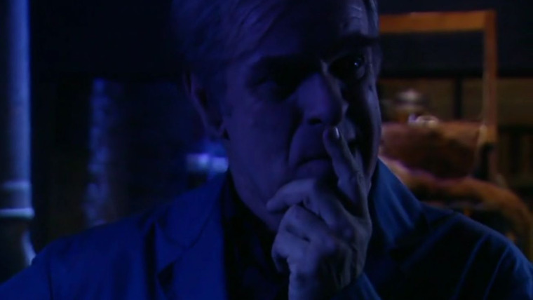 Het Huis Anubis — s02e64 — Aflevering 178