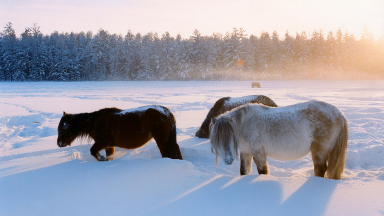 Horse People with Alexandra Tolstoy — s01e01 — Siberia