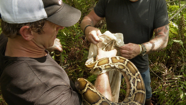 Swamp People: Serpent Invasion — s02e07 — Boiling Point