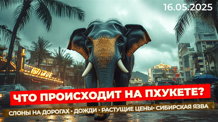 Arsen Phuket — s02e109 — Срочно! Компенсации за рейсы, наводнение на Пхукете, слоны на дорогах. Что происходит на Пхукете ?