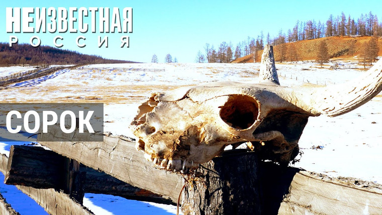 Неизвестная Россия — s08e11 — Тайга, золото и сойоты: Жизнь коренного народа на самом краю Бурятии