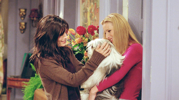 Friends — s07e08 — The One Where Chandler Doesn't Like Dogs
