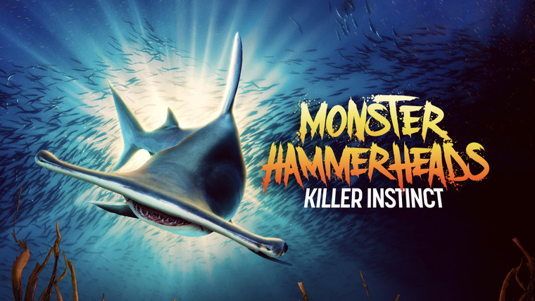 Shark Week — s2023e09 — Monster Hammerheads: Killer Instinct