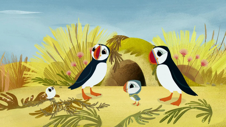 Puffin Rock — s01e20 — Silky's Slide