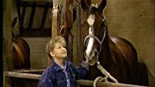 Full House — s02e04 — D.J.'s Very First Horse