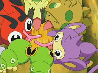 Pocket Monsters — s05e30 — Hakutai Forest! The Minomutchi Evolution Plan!!