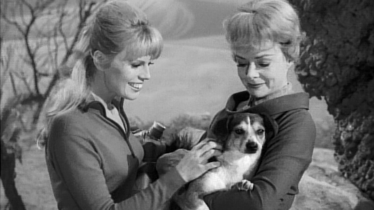 Irwin Allen's Lost in Space — s01e13 — One of Our Dogs is Missing