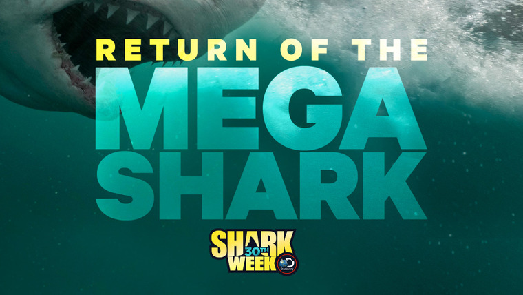 Shark Week — s2018e21 — Return of the Mega Shark