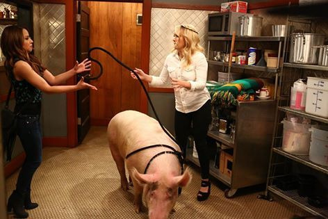 Young & Hungry — s04e04 — Young & Piggy