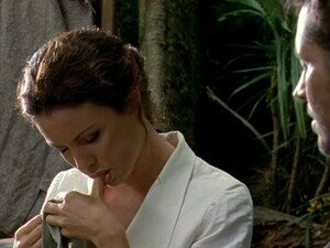 The Lost World — s03e19 — Tapestry