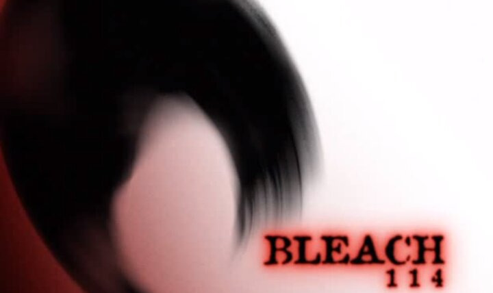 Bleach — s06e05 — Reunion, Ichigo and Rukia