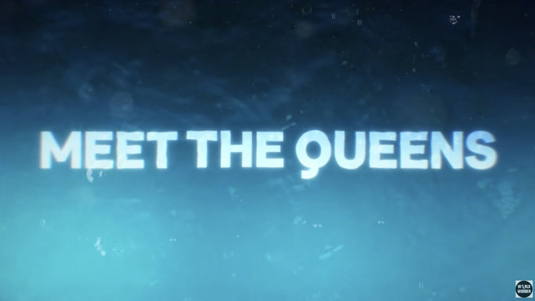 Королевские гонки РуПола — s17 special-1 — Meet the Queens of Drag Race Season 17