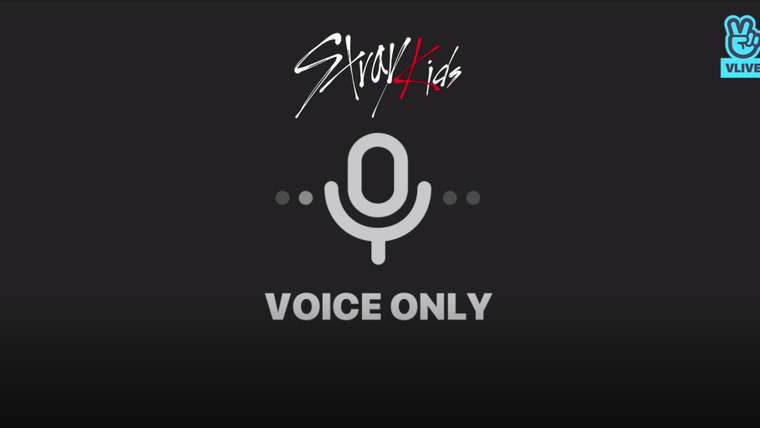 Stray Kids — s2018e99 — [Voice] Debut 100 days🖤