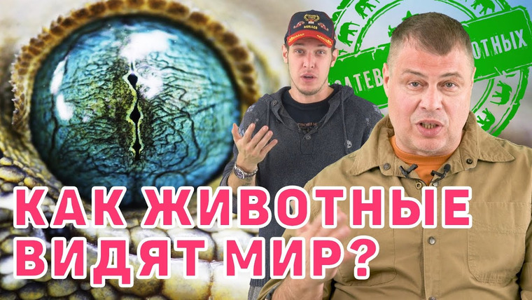 Затевахин О Животных — s02e01 — Как животные видят мир?