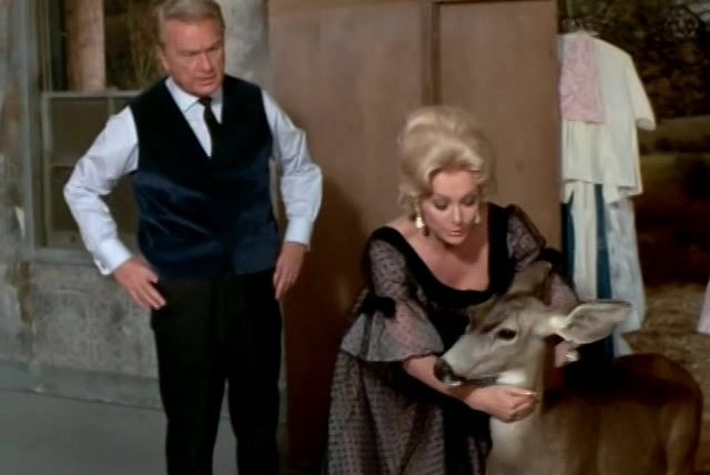 Green Acres — s04e21 — A Hunting We Won't Go