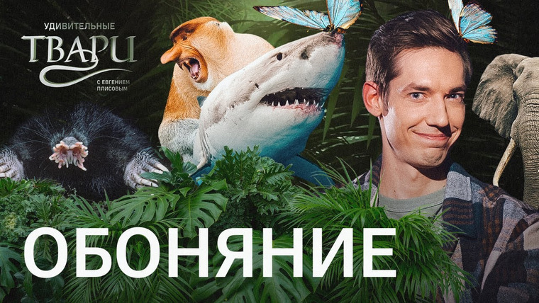 Удивительные твари — s01e08 — Самый быстрый нос, язык для обоняния и нос вместо рук. Как твари чувствуют запахи?
