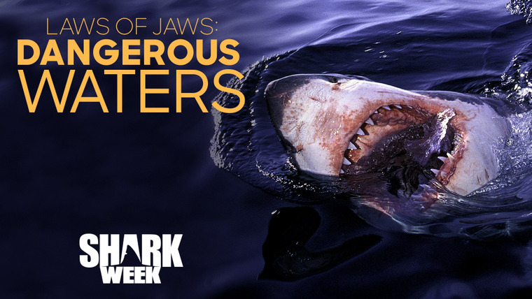 Shark Week — s2019e09 — Laws of Jaws: Dangerous Waters
