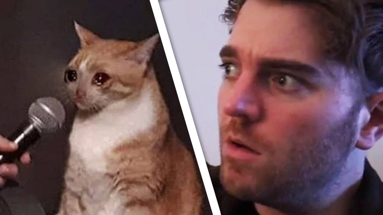 PewDiePie — s10e82 — Shane vs Cat 📰 PEW NEWS📰