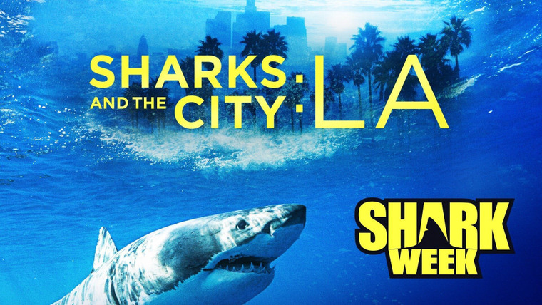 Shark Week — s2017e08 — Sharks and the City: LA