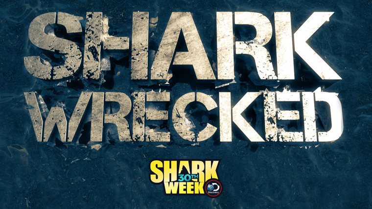 Shark Week — s2018e15 — Sharkwrecked