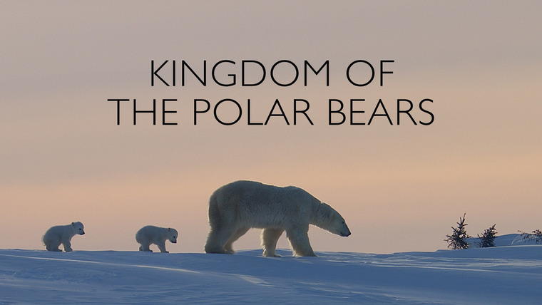 The Nature of Things with David Suzuki — s60e12 — Kingdom of the Polar Bears: Part 1