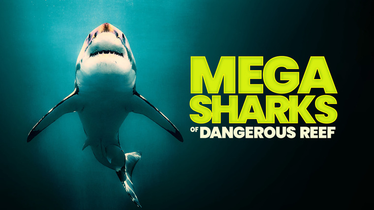 Shark Week — s2023e20 — Megasharks of Dangerous Reef