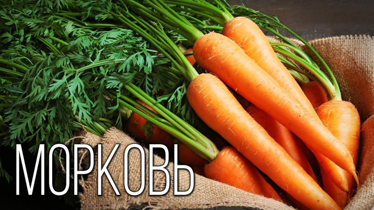 Планета Земля — s05e13 — Морковь: Королева овощей | Интересные факты про морковь
