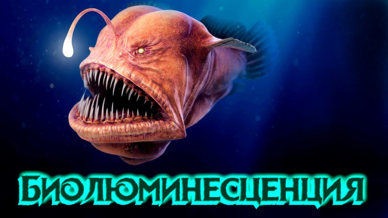 Анатомия Монстров — s03e28 — Биолюминесценция