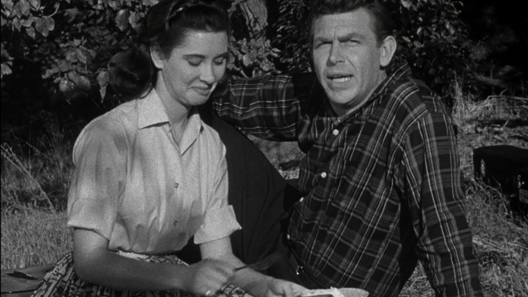 The Andy Griffith Show — s01e10 — Ellie for Council