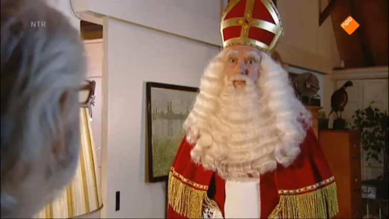 Het Sinterklaasjournaal — s15e295 — Episode 15