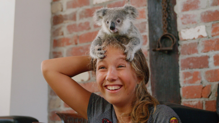 Иззи и коалы — s02e01 — Baby Koalas!