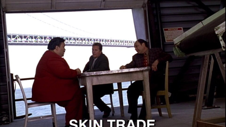 Детектив Нэш Бриджес — s05e12 — Skin Trade