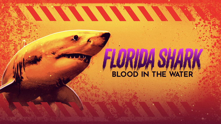 Shark Week — s2023e11 — Florida Shark: Blood in the Water