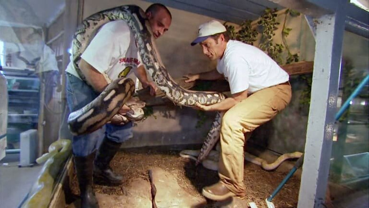 Грязная работенка — s03e14 — Snake Wrangler
