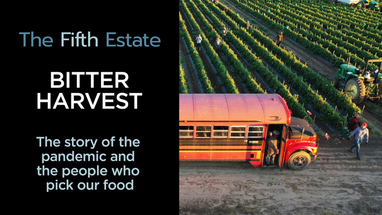 The Fifth Estate — s46e02 — Bitter Harvest: The story of the pandemic and the people who pick our food
