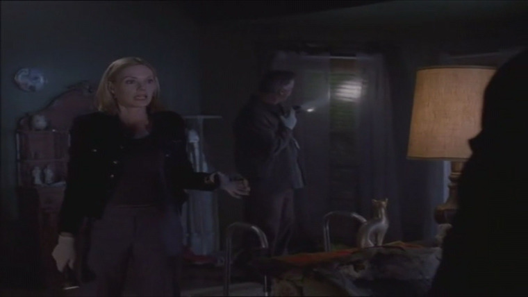 CSI: Crime Scene Investigation — s02e20 — Cats in the Cradle