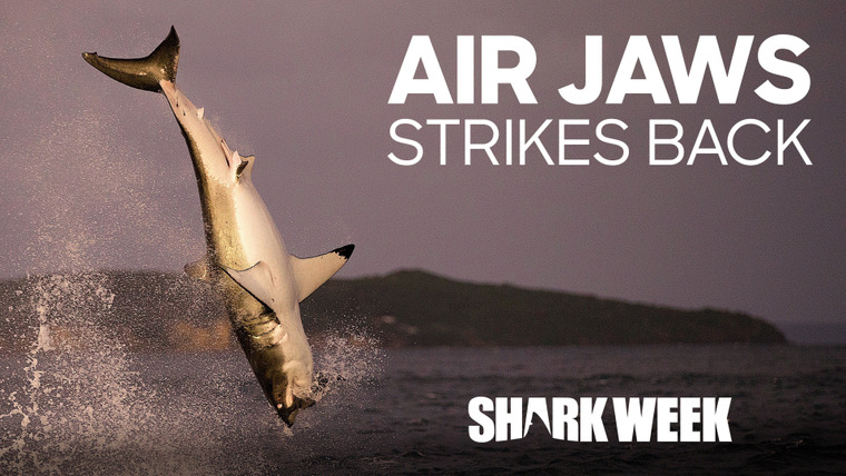 Shark Week — s2019e10 — Air Jaws Strikes Back