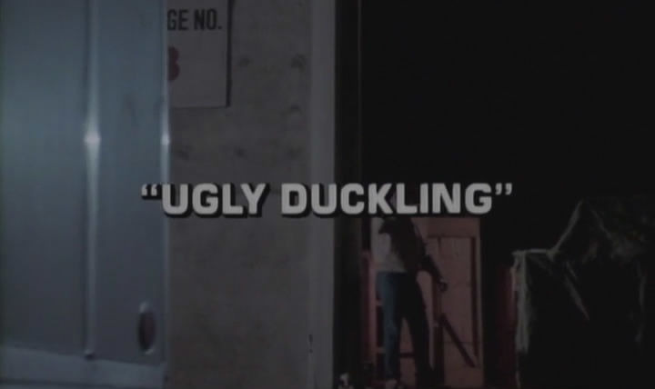 Секретный агент Макгайвер — s01e18 — Ugly Duckling