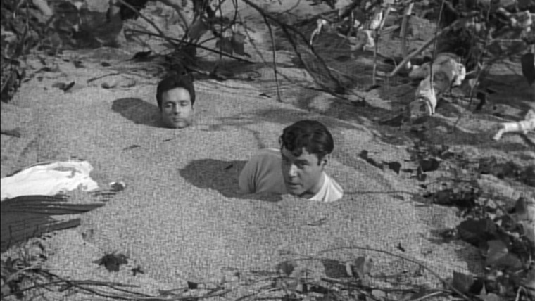 Irwin Allen's Lost in Space — s01e14 — Attack of the Monster Plants