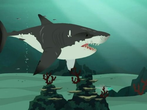 Дикие Крэтты — s01e24 — Stuck on Sharks