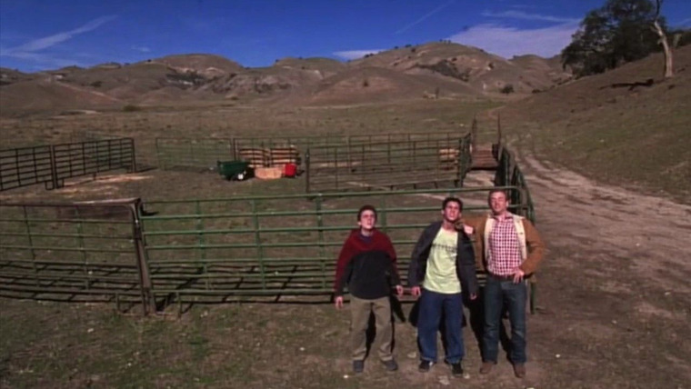 Malcolm in the Middle — s04e08 — Boys at Ranch