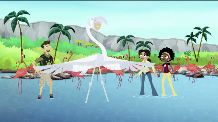 Дикие Крэтты — s06e01 — Mystery of the Flamingo's Pink