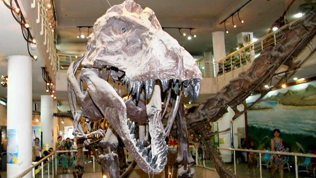 Fossil Wonderlands: Nature's Hidden Treasures — s01e02 — Feathered Dinosaurs