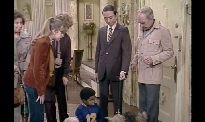 Diff'rent Strokes — s02e15 — The Dog Story (a.k.a.) A Dog Story