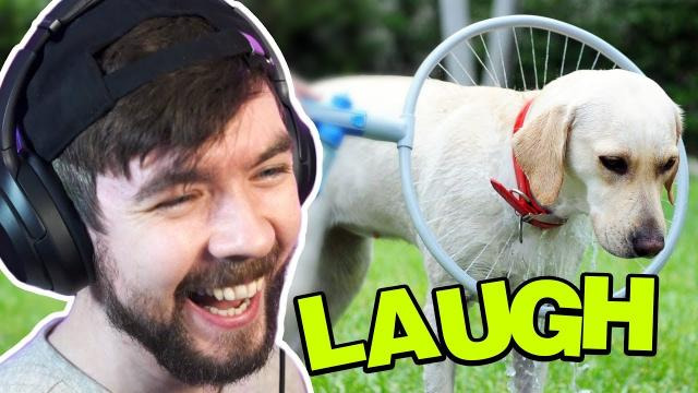Jacksepticeye — s09e06 — What Are They DOING To That Poor Dog? — Jacksepticeyes Funniest Home Videos