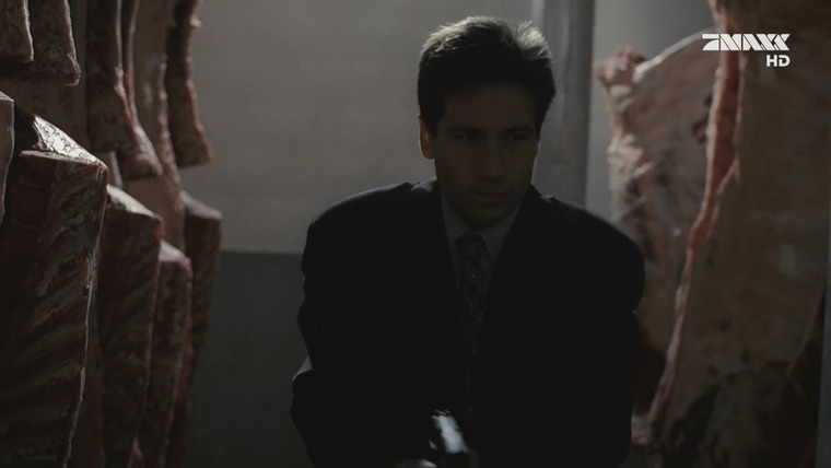 The X-Files — s02e10 — Red Museum