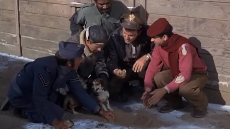 Hogan's Heroes — s04e06 — Man's Best Friend is Not His Dog