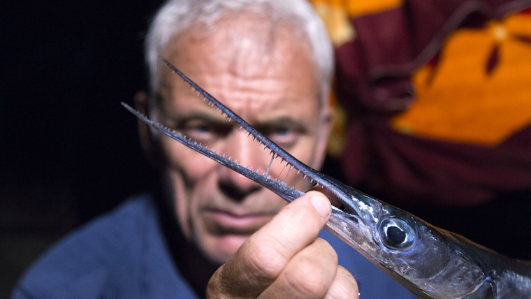 River Monsters — s09e03 — Coral Reef Killers: Supersized Q&A with Jeremy