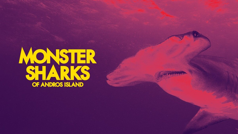 Shark Week — s2021e17 — Monster Sharks of Andros Island
